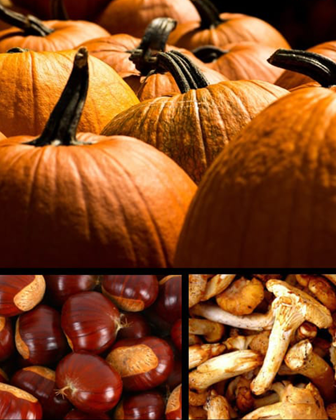 Taller de Cocina de Otoño Kitchen DEN