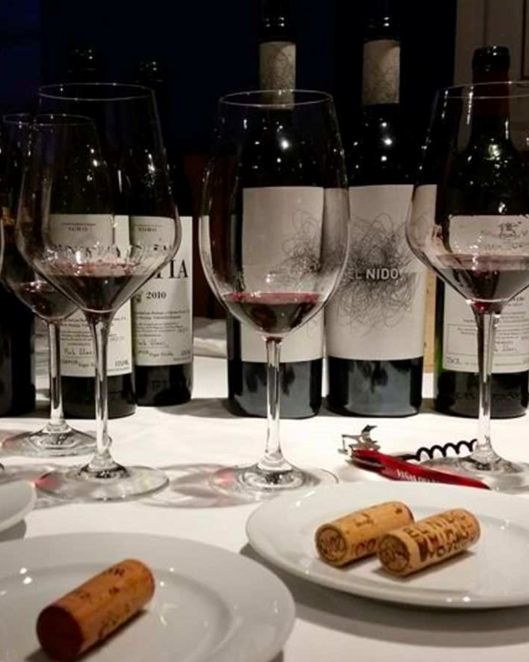 INTRODUCCION A LA CATA DE VINO INTRODUCCION A LA CATA DE VINO