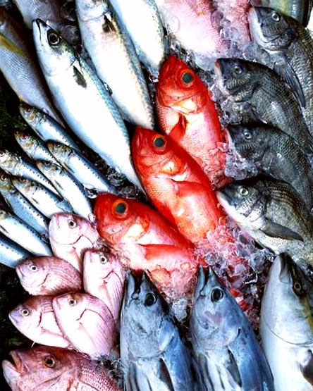 CURSO DE COCINA DE ELABORACIÓN DE PESCADO CURSO DE COCINA DE ELABORACIÓN DE PESCADO